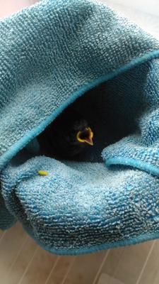 Прикрепленное изображение: P_20210704_124654.jpg